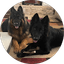 Czar & Khan