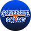 Squeegee Squad Chicagoland
