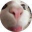 Nella YT
