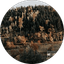Laura Salas