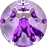 Universe 11 Toppo