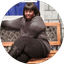 Shirley Woods
