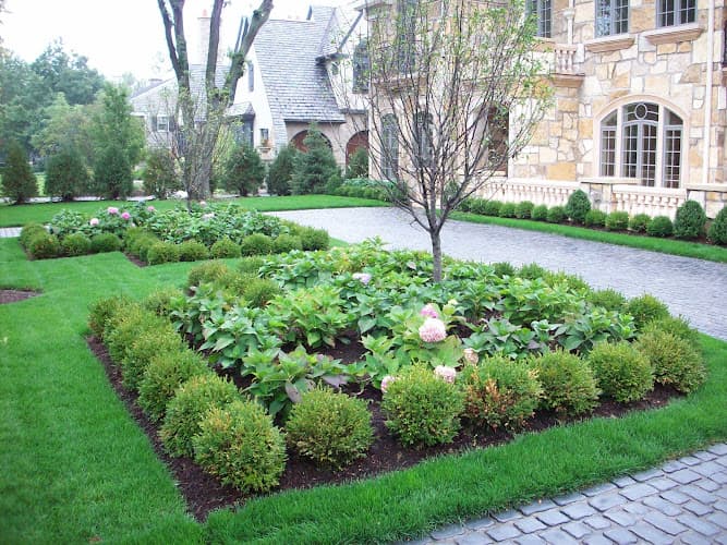 Green Grass Landscape