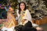 Light Up Your Holidays — Lincoln Park