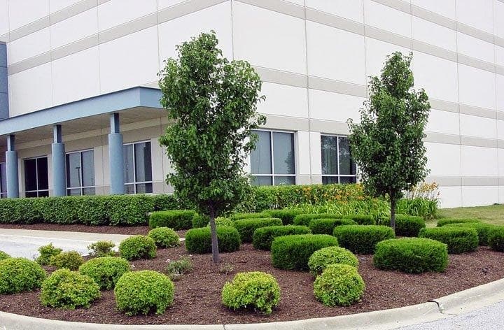 Camphouse Country Landscaping