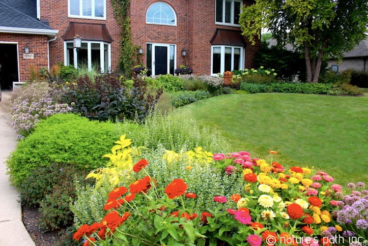 Nature's Path Landscaping