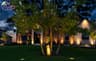 Vivid Outdoor Lighting
