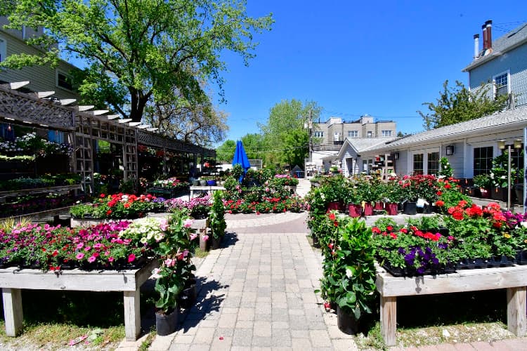 Fertile Garden Center — project photo