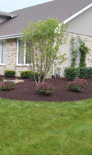 Rey's Landscaping — project photo