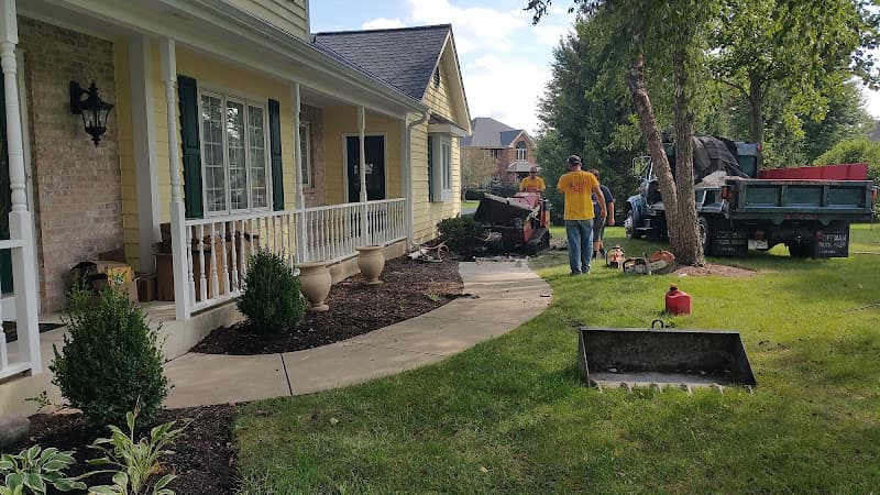 Sunnyside Landscaping & Tree Service — project photo