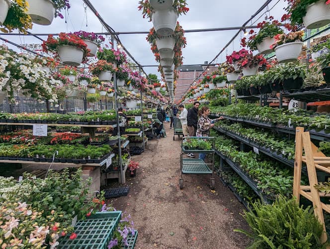 Adams & Son & Daughter Gardens — project photo