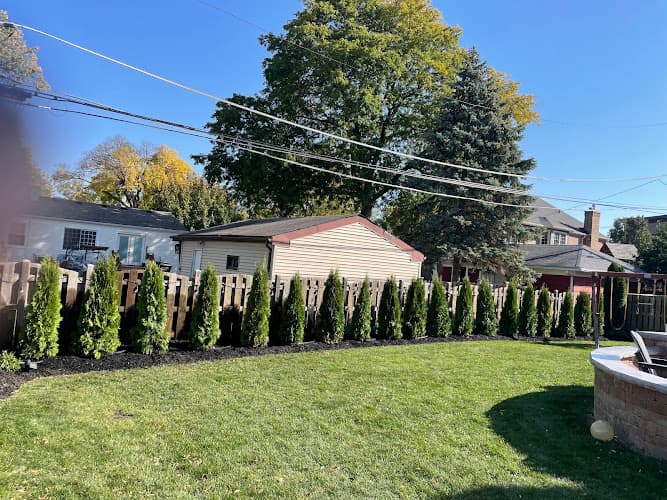 Lotus Landscaping & Design — project photo
