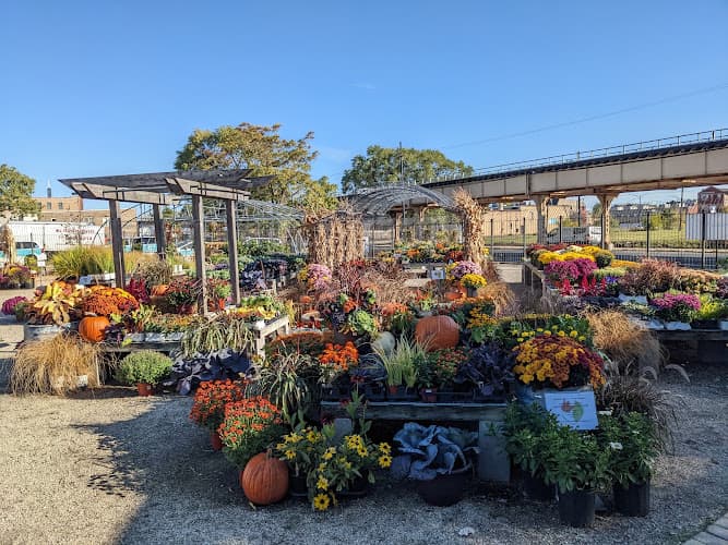 City Escape Garden Center and Design Studio — project photo